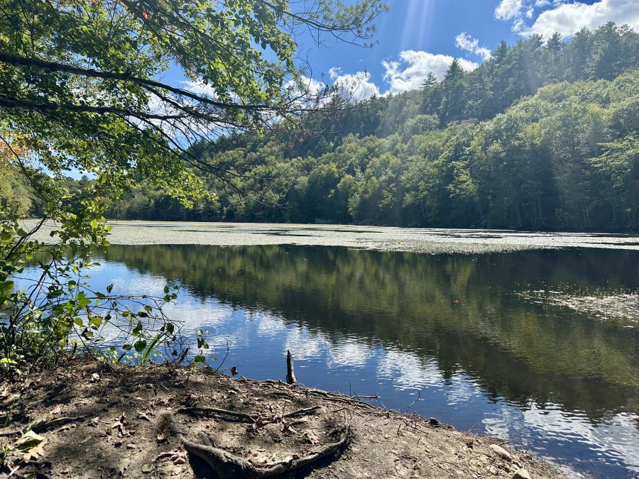 Old Furnace State Park in Danielson, CT  